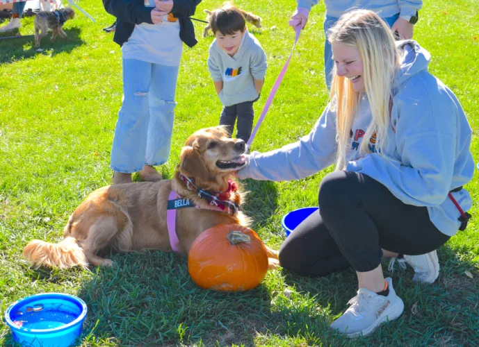 Pups paint the dog park red